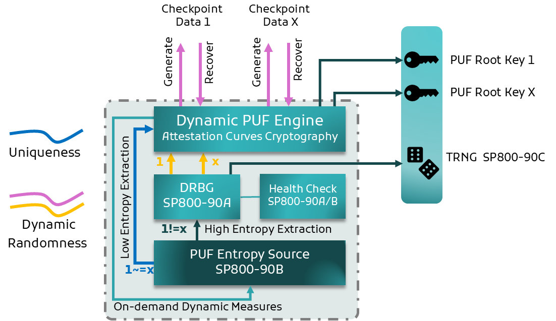 Dynamic PUF engine accepts checkpoint data and provides multiple root-key outputs and true-random output from a common entropy source