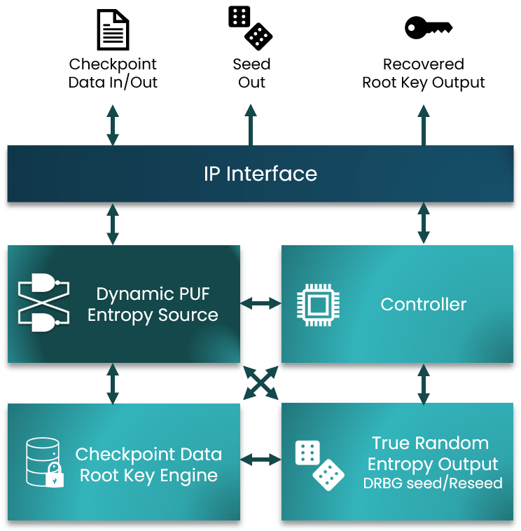 Dynamic PUF IP architecture